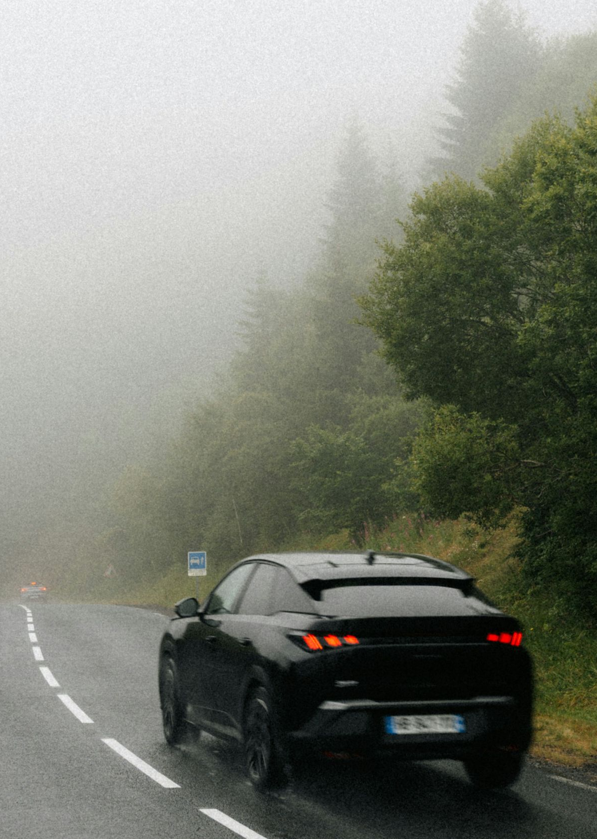 Black car driving on a foggy, wet road beside dense green trees