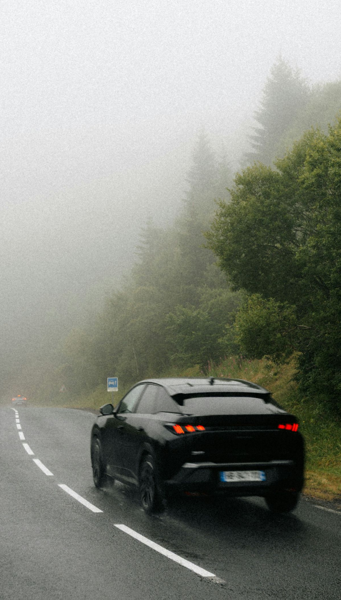 Black car driving on a foggy, wet road beside dense green trees