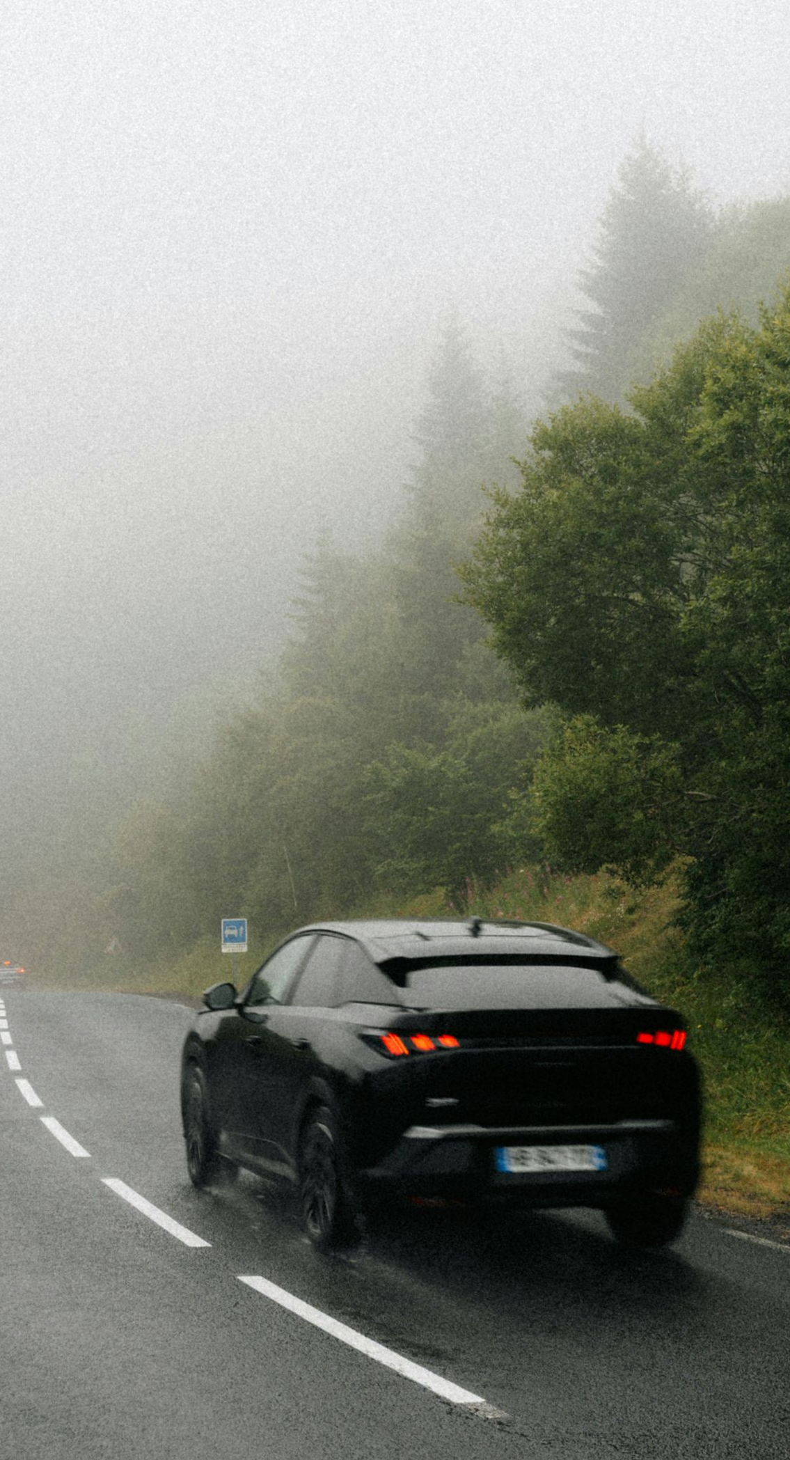Black hatchback driving on a foggy, winding road beside trees
