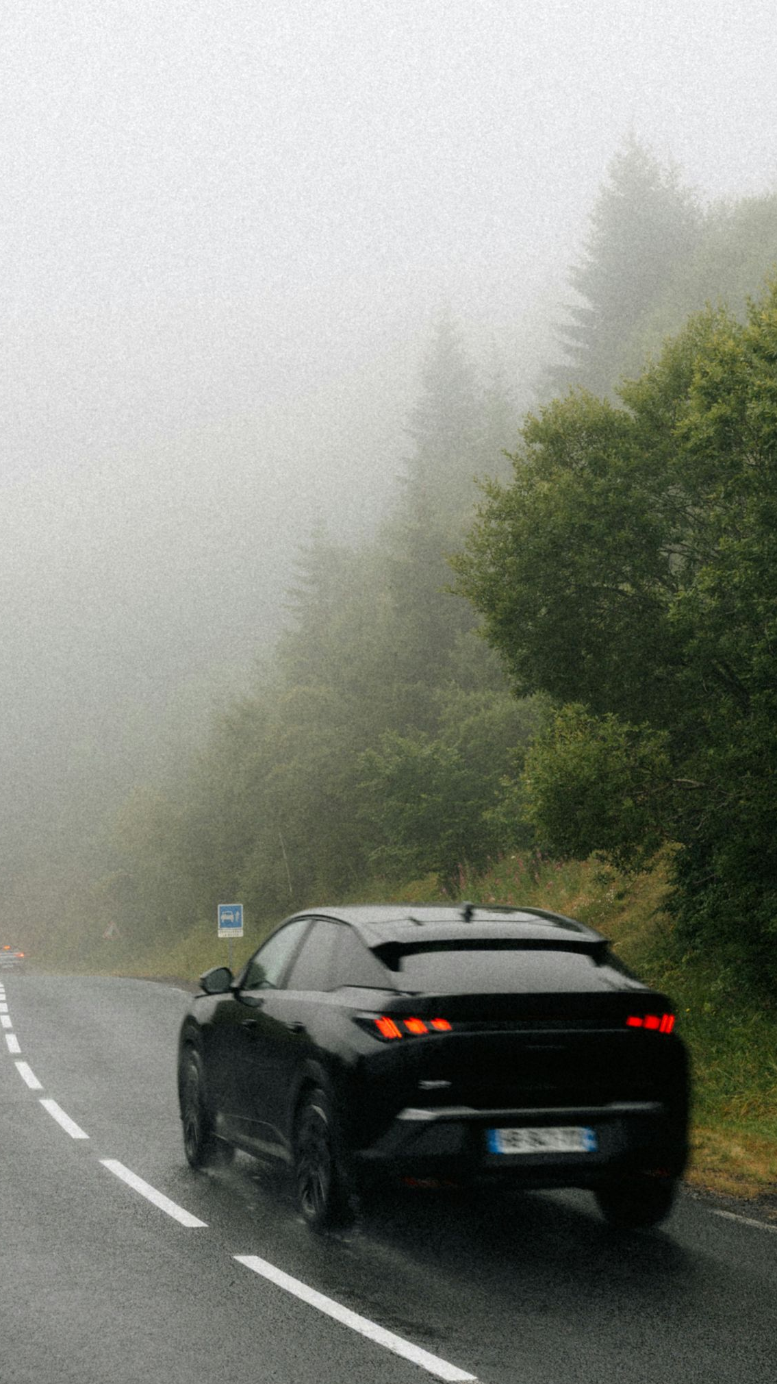 Black hatchback driving on a foggy, winding road beside trees