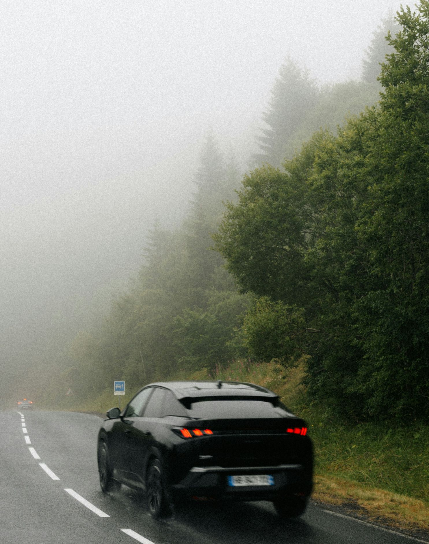 Black car driving on a foggy, wet road beside dense green trees