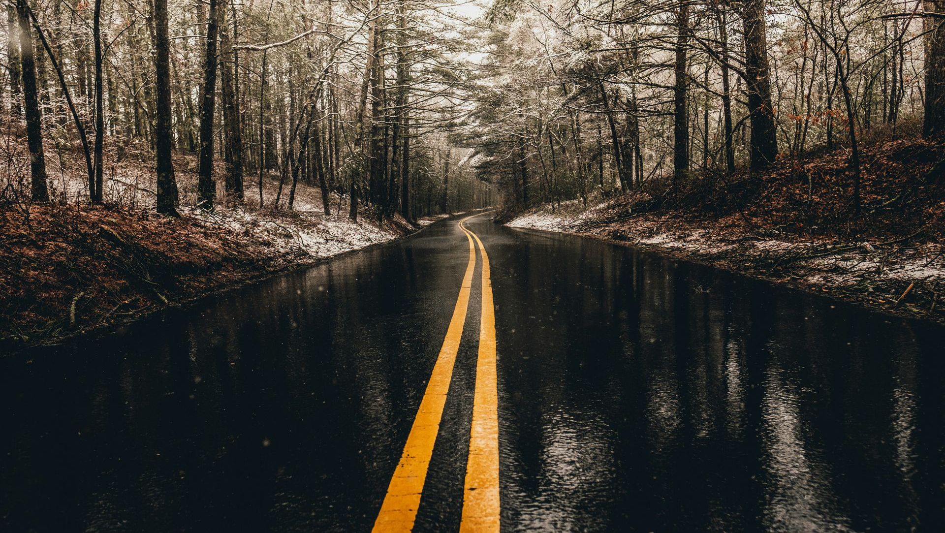 Wet forest road with double yellow lines reflecting in rainwater