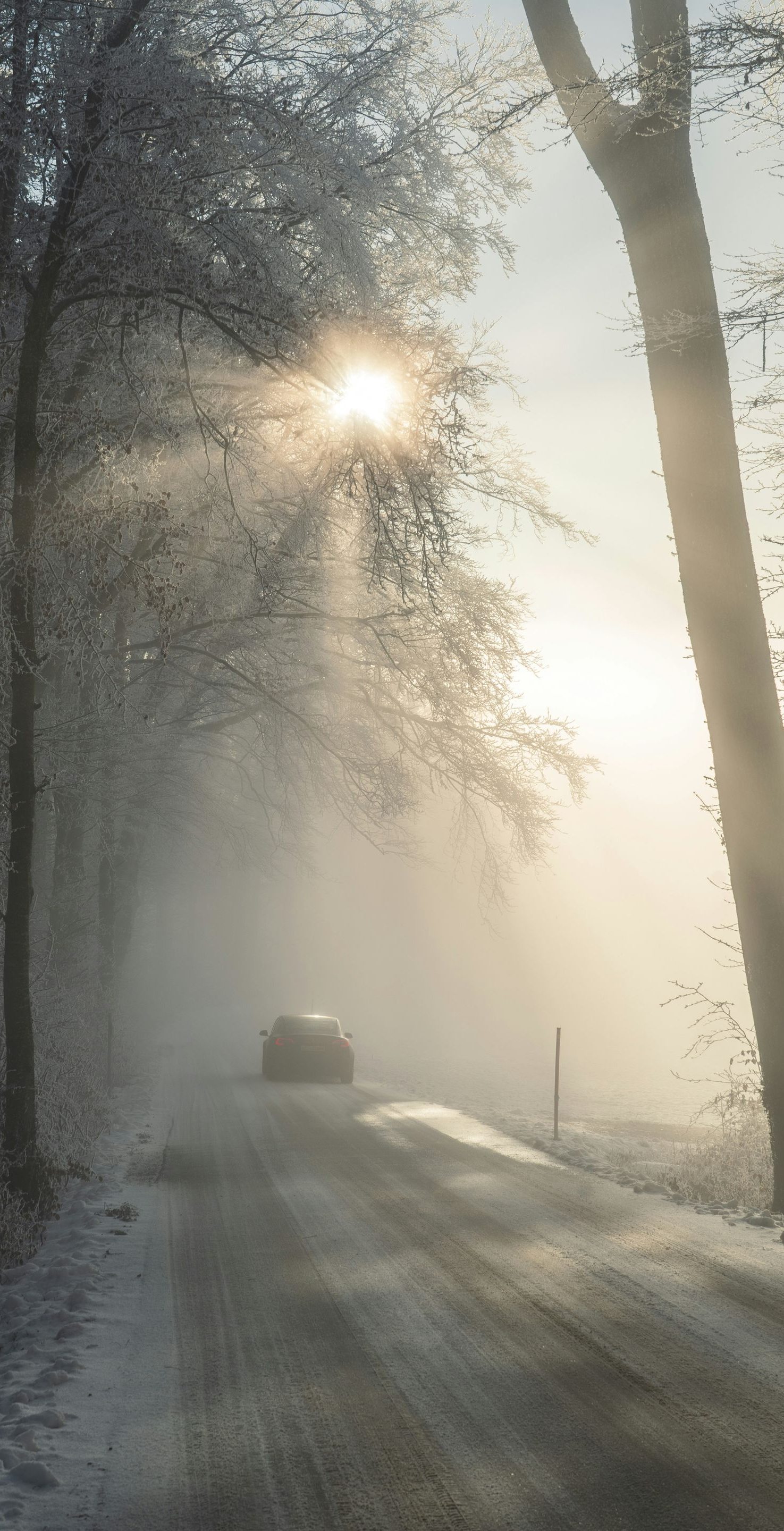 Sunlight streams through trees onto a foggy road with a car. Winter scene.