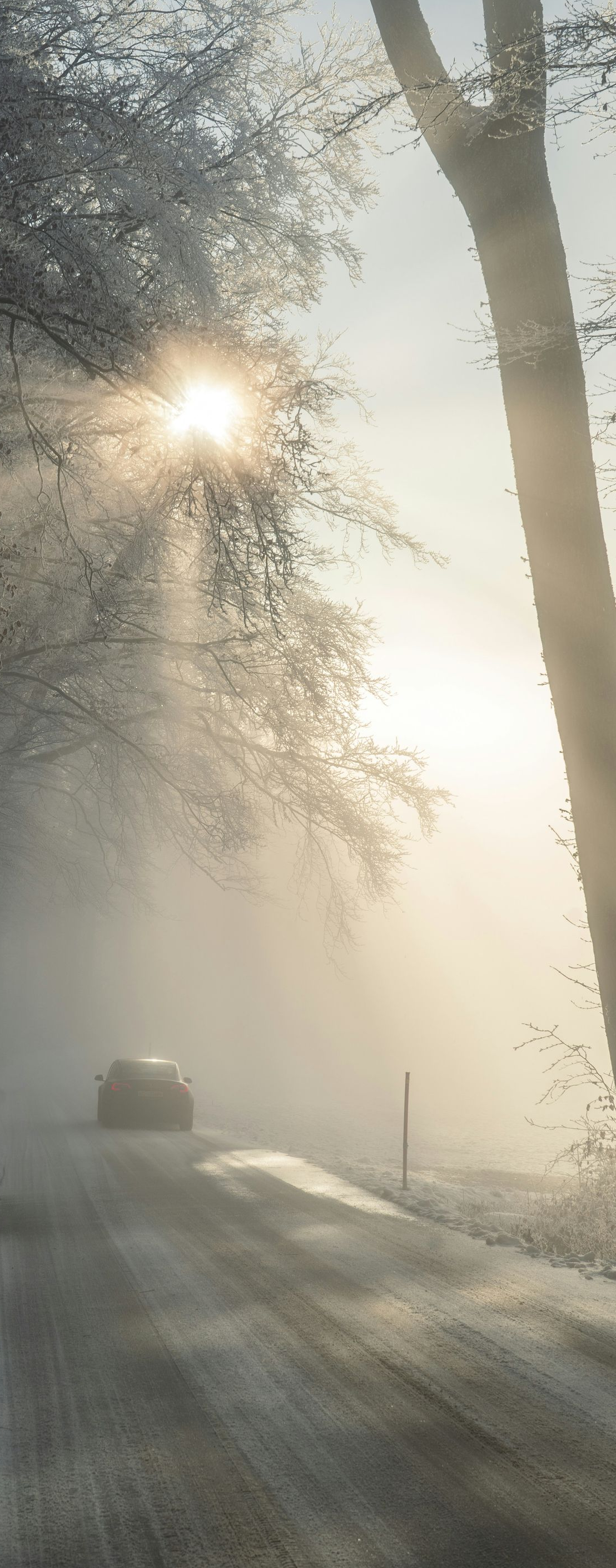 Sunlight streams through trees onto a foggy road with a car. Winter scene.