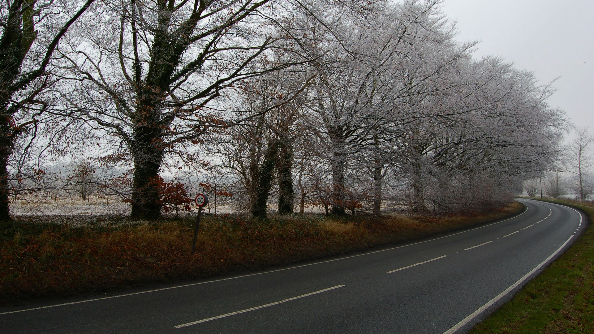 A road curves alongside a line of trees with frosted branches, on a gray, overcast day.