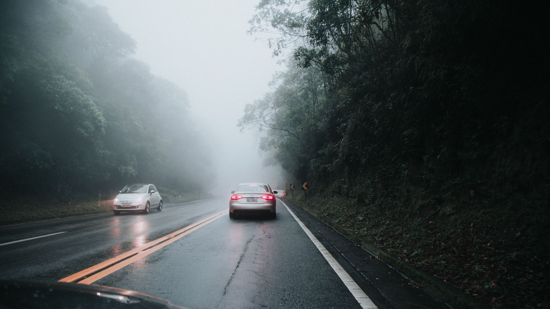 Cars driving on a wet, foggy road through a dark forest