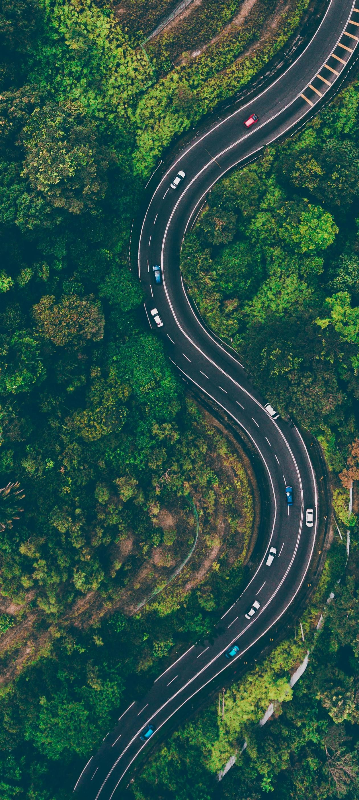 Aerial view of a winding road through a lush green forest with cars driving on it.