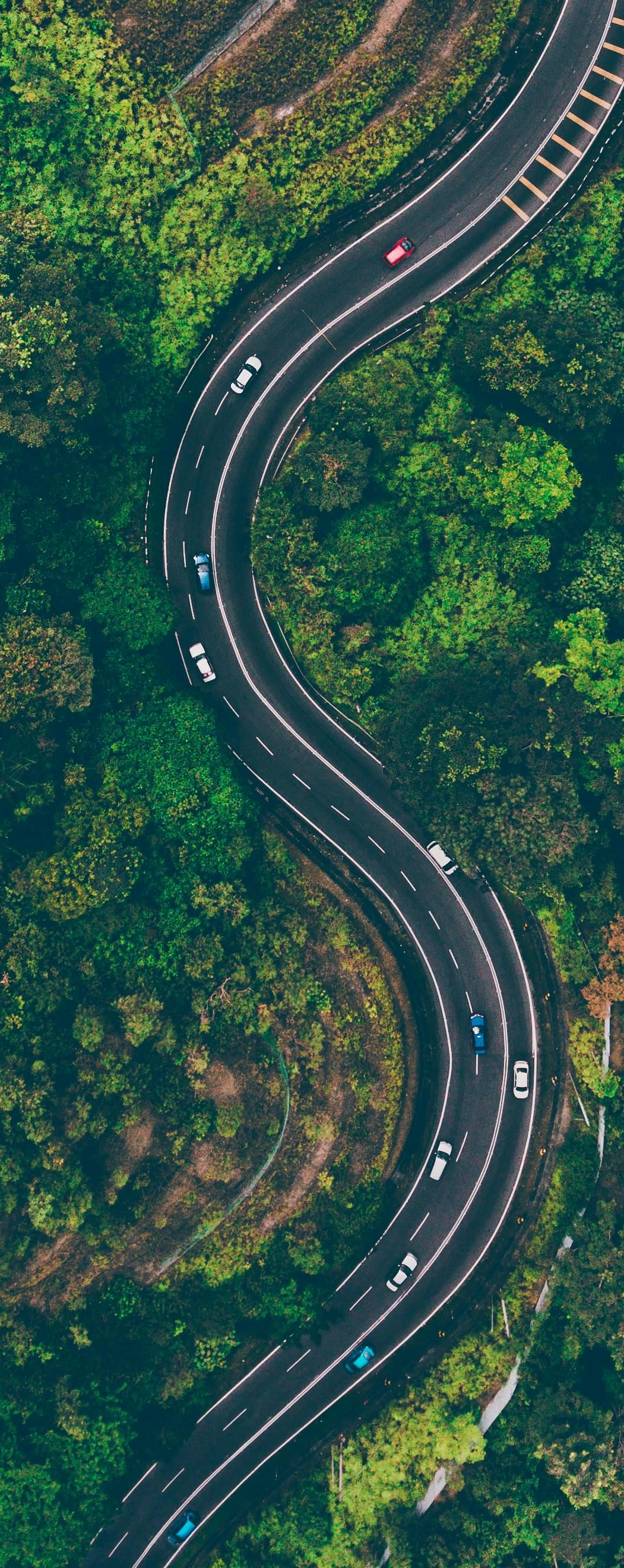 Aerial view of a winding road through a lush green forest with cars driving on it.