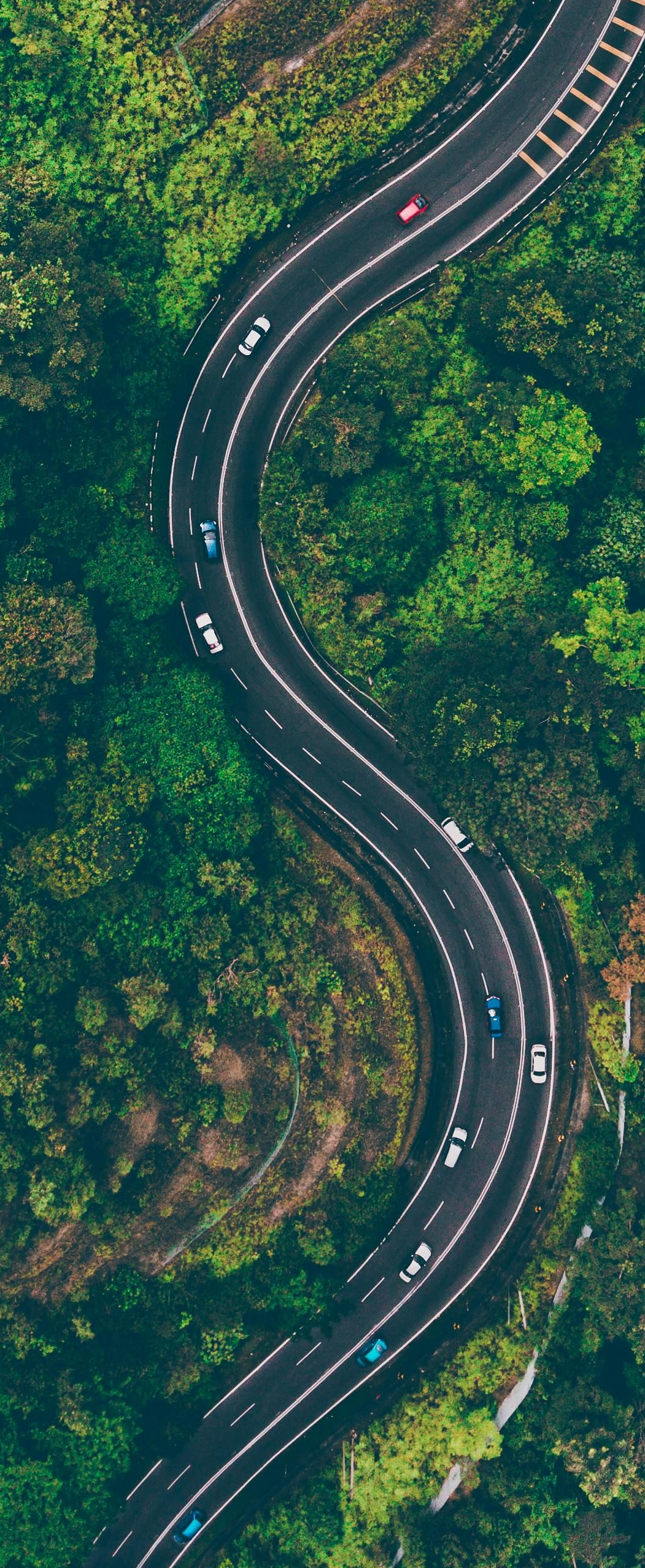 Aerial view of a winding road through a lush green forest with cars driving on it.