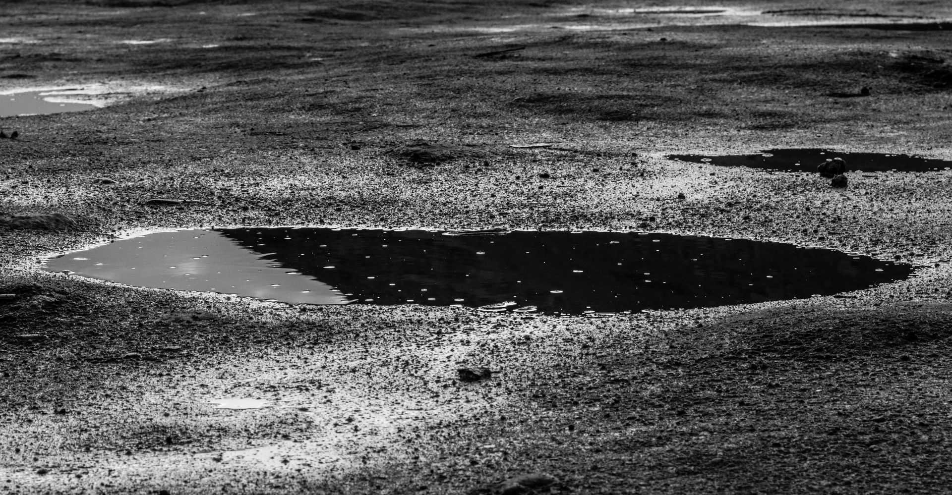 Black-and-white scene of a shallow puddle or pond in a rough, grassy field