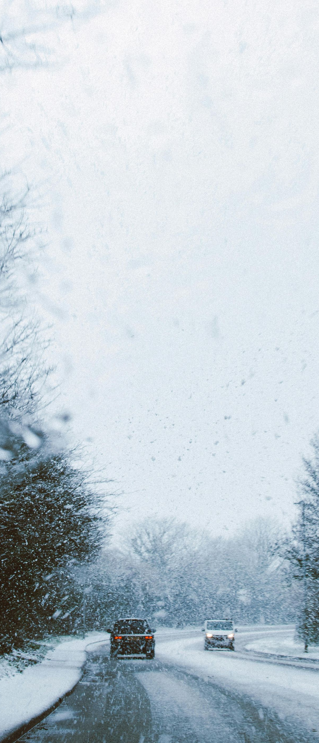 Snowy road with two cars driving through a winter landscape, trees lining the sides.