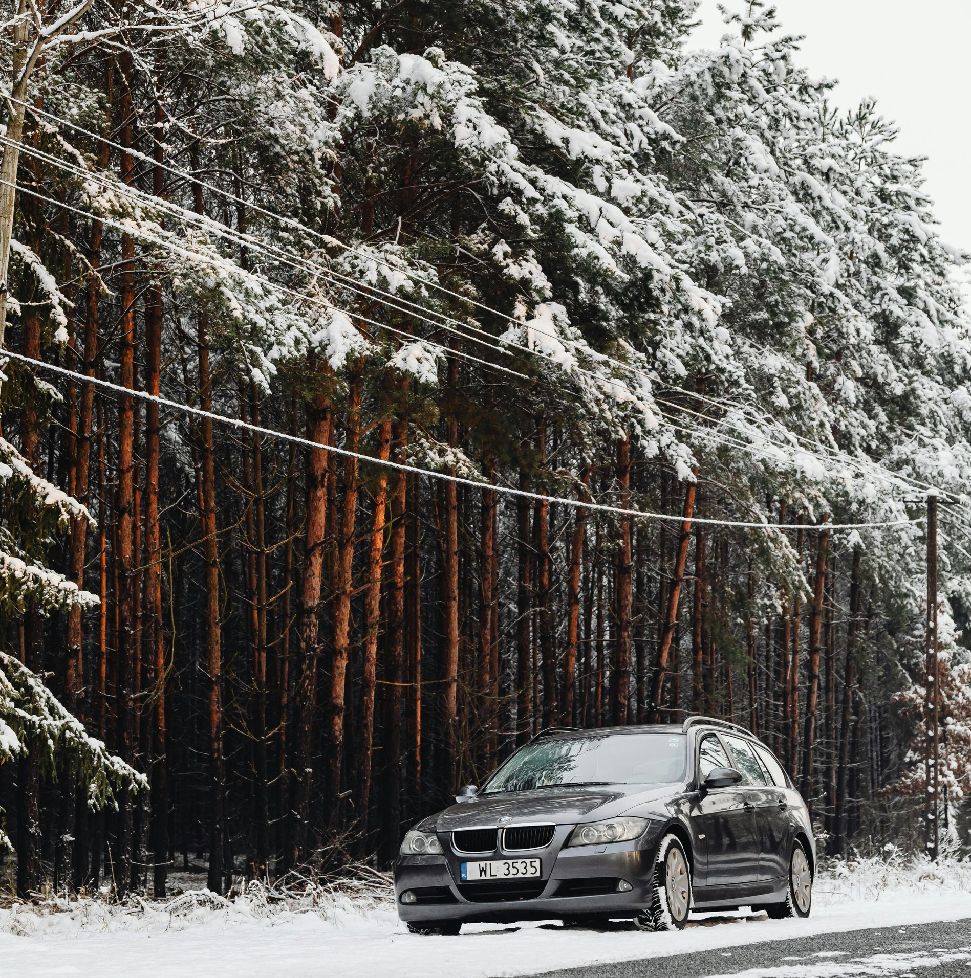 Gray car on a snow-covered road in front of a forest of pine trees.