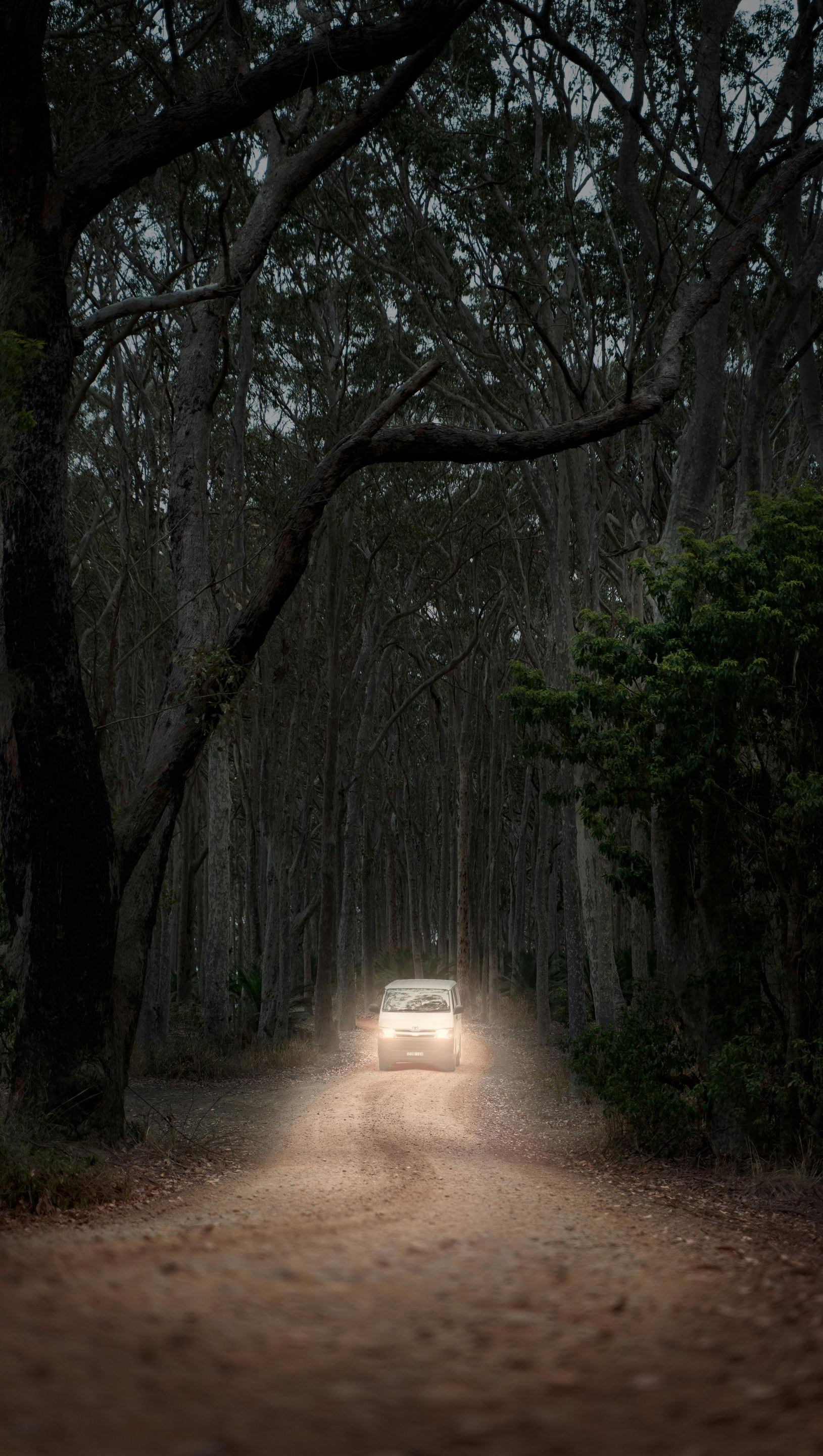 Car driving on a dirt road through a dark forest, with headlights illuminating the path.