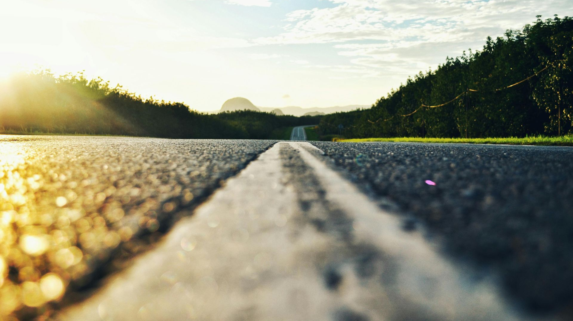 Road stretching toward distant mountains, bright sun, lined with green trees.