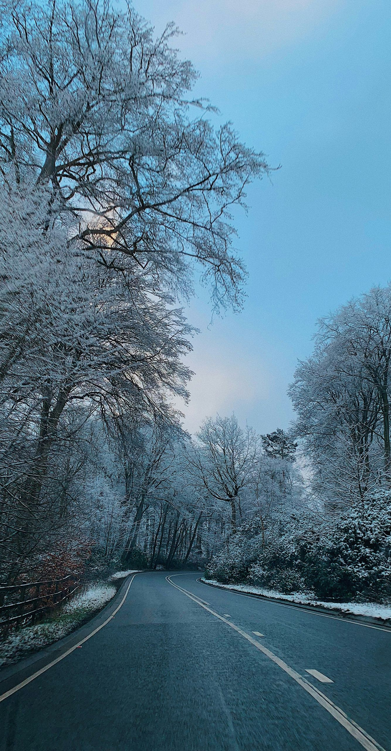 Road through snow-covered trees under a light blue sky.