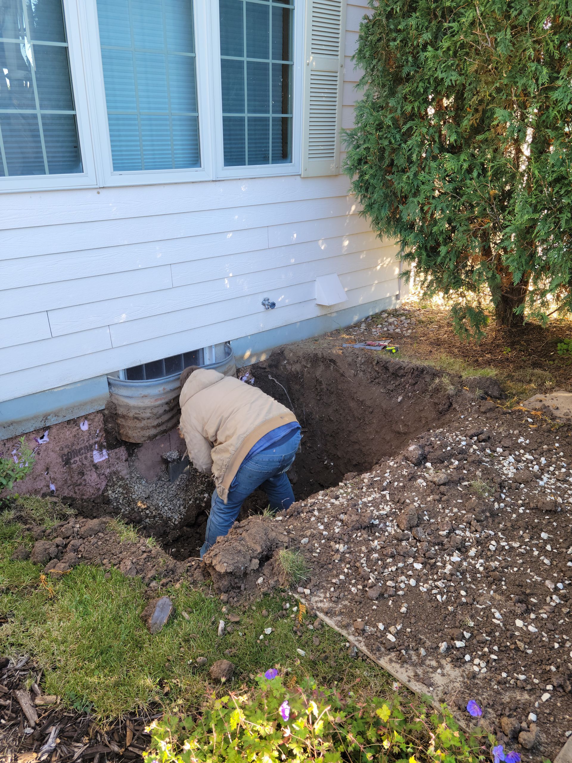Person digging a trench beside a house’s foundation near a window and shrubs.