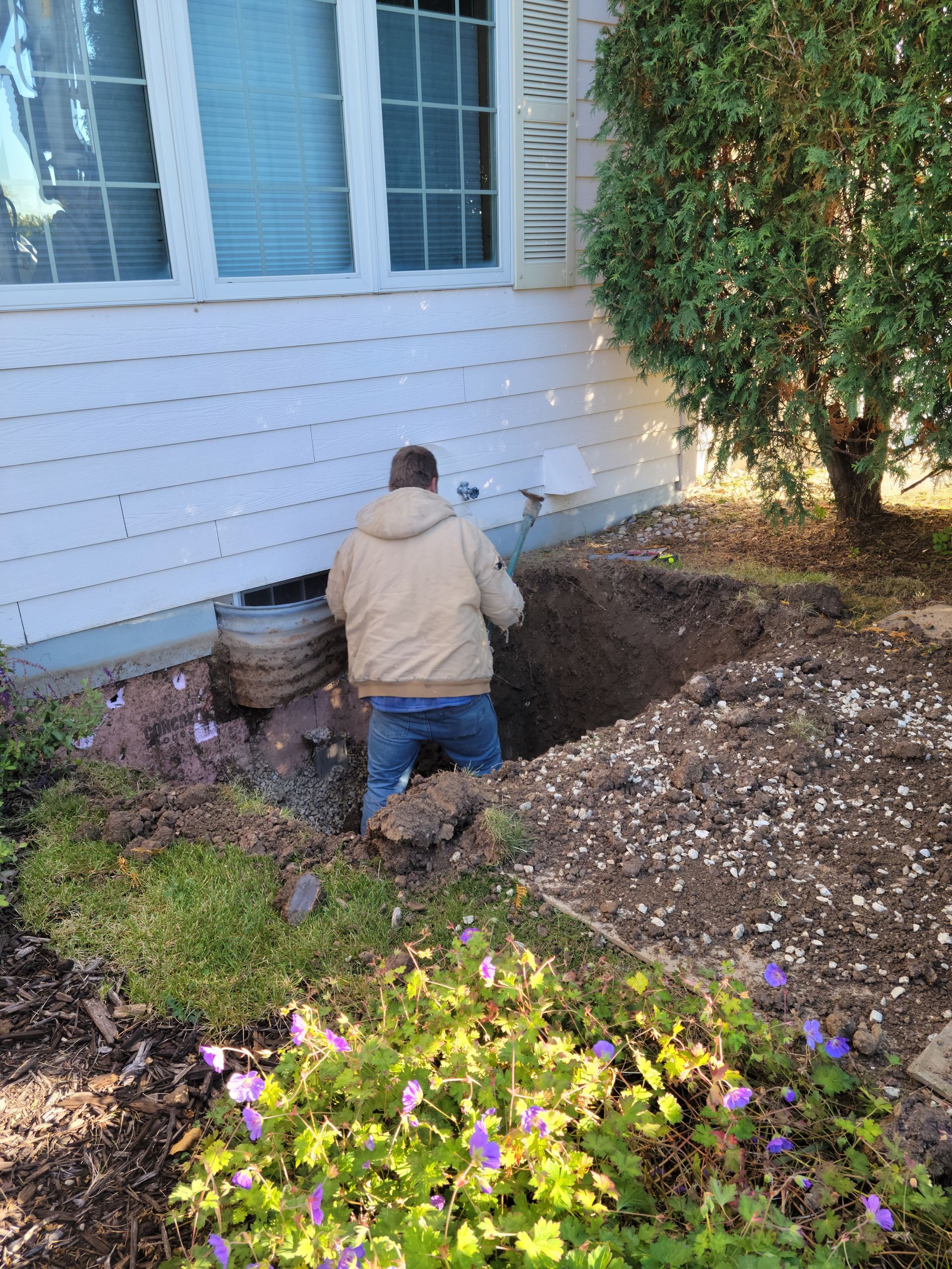 Person digging a garden bed beside a white house, with purple flowers in the foreground