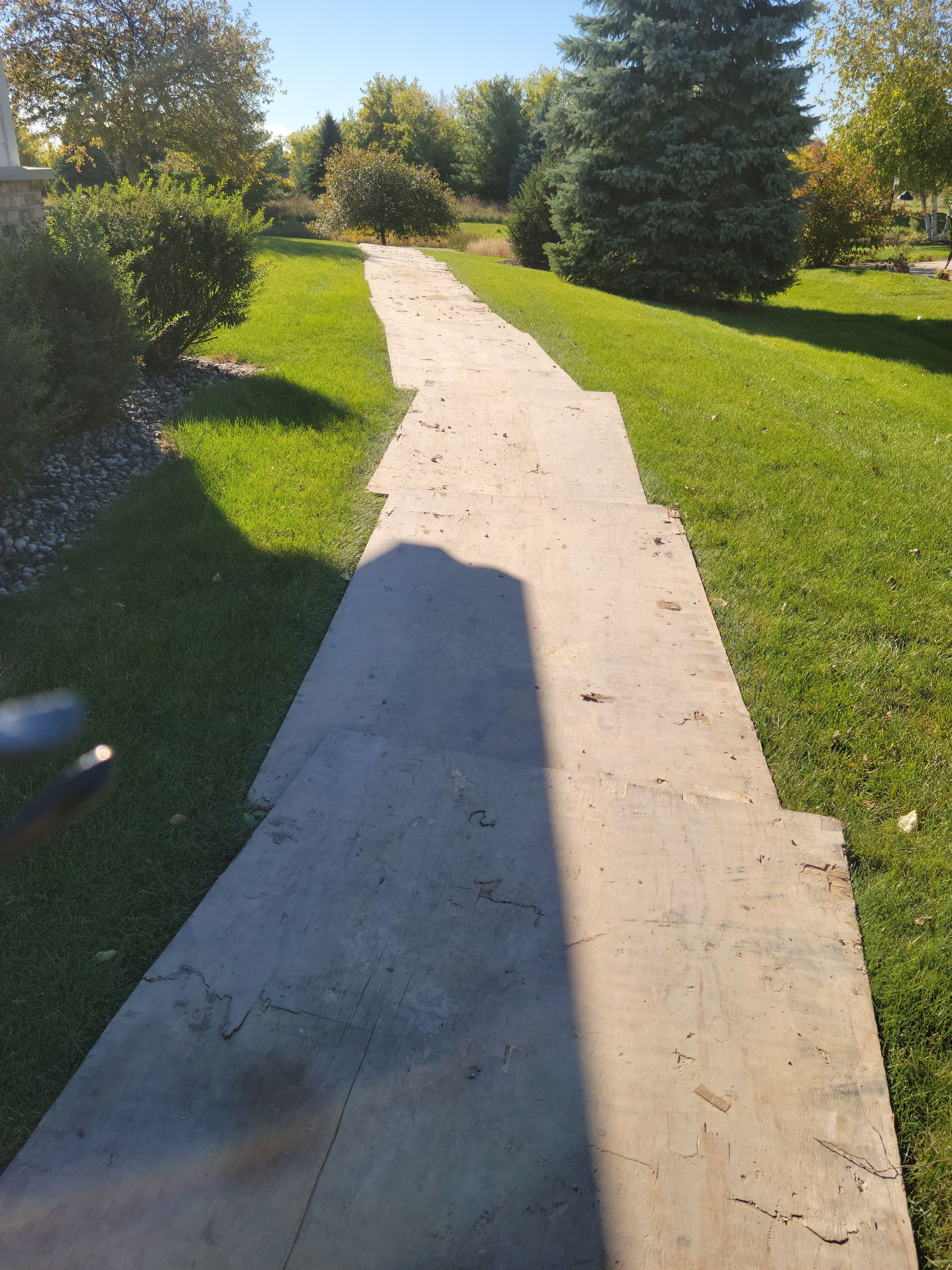 Sunlit concrete path through a green park, bordered by grass and trees.
