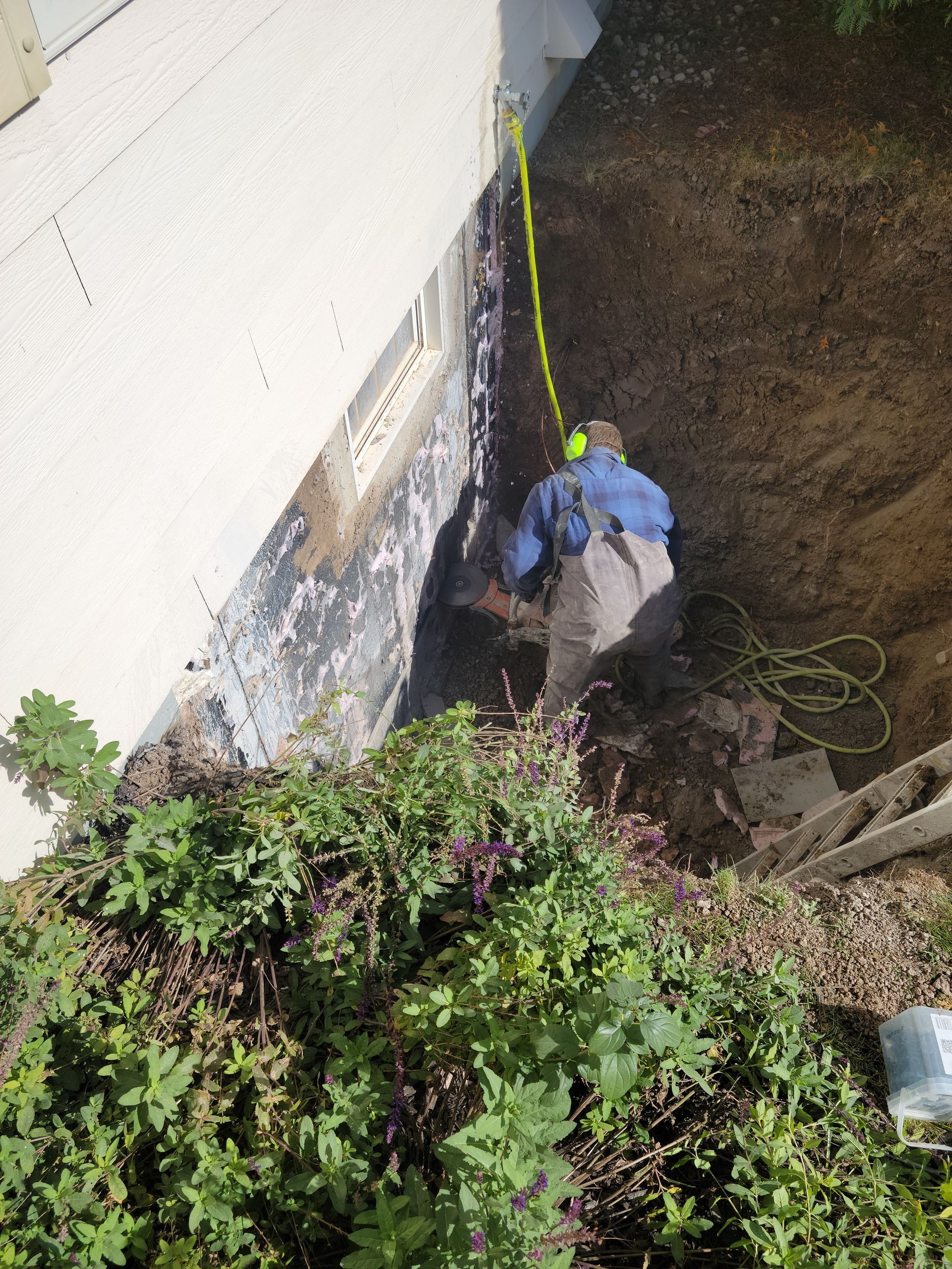 Worker using rope near foundation of a house in a narrow outdoor space, with shrubs in foreground