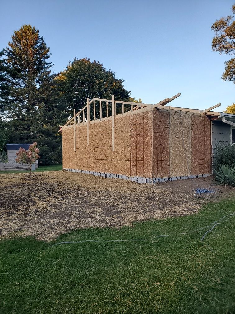 Partially framed shed under construction with plywood walls and roof trusses in a backyard