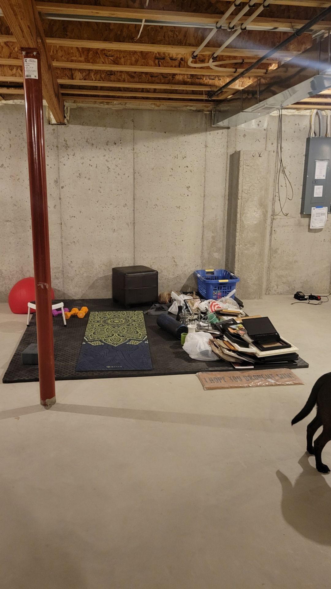 Basement with exposed ceiling, concrete walls, exercise mat, cluttered pile, and a partial black dog at right edge