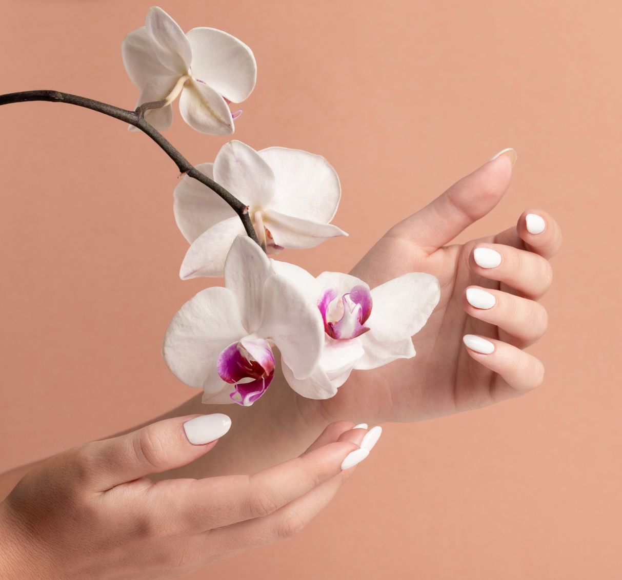una donna tiene in mano un ramo di orchidea bianca .