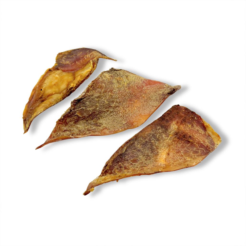 Three dried fish pieces on a white background