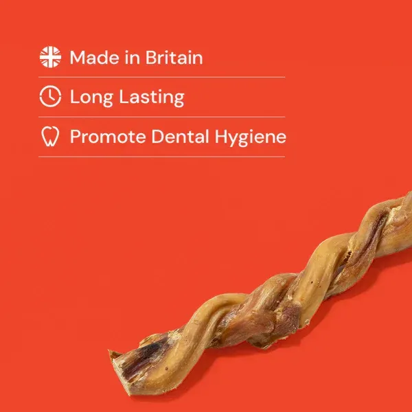 Twisted brown dog chew stick on a white background