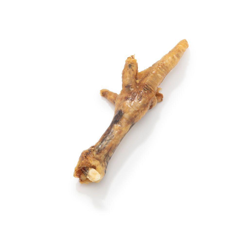 Small brown twig on a white background