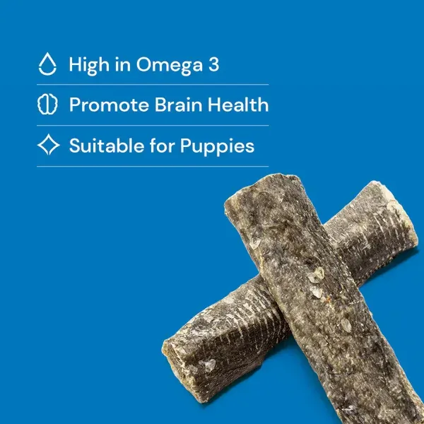 Two cross-shaped dark brown textured sticks on a white background