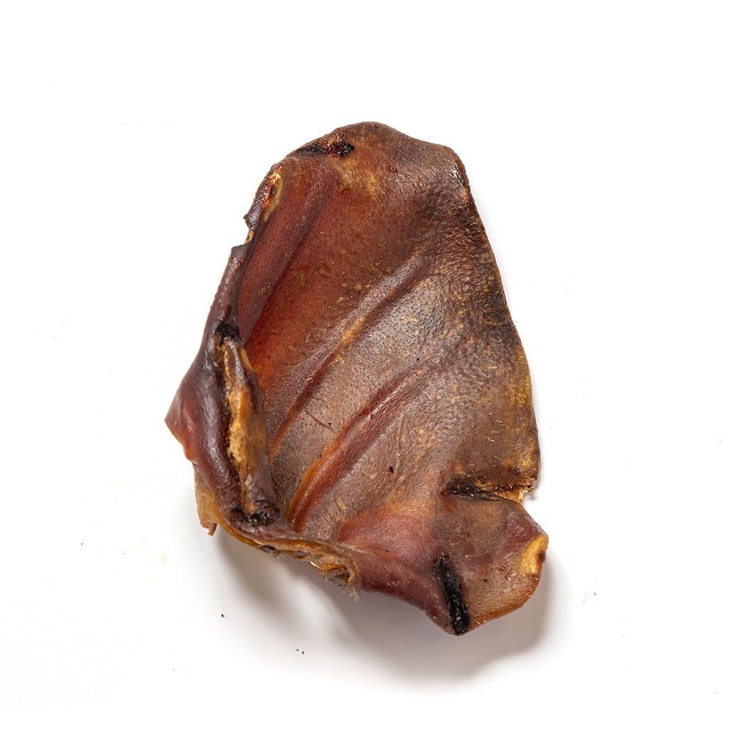 Brown dried leaf or petal on a white background