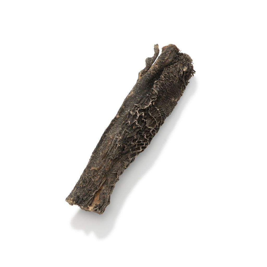 A rough brown tree bark stick on a white background