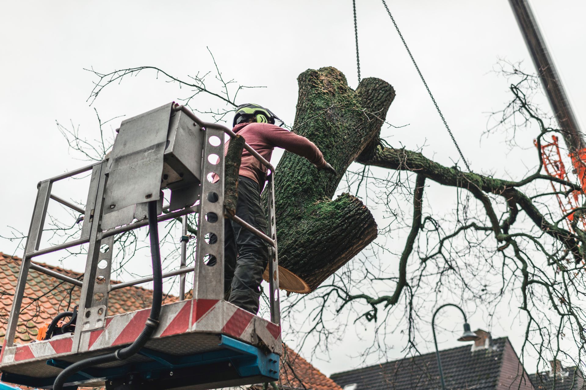 A man on a platform is putting a chopped tree in the right direction. A man on a platform is putting a chopped tree in the right direction.