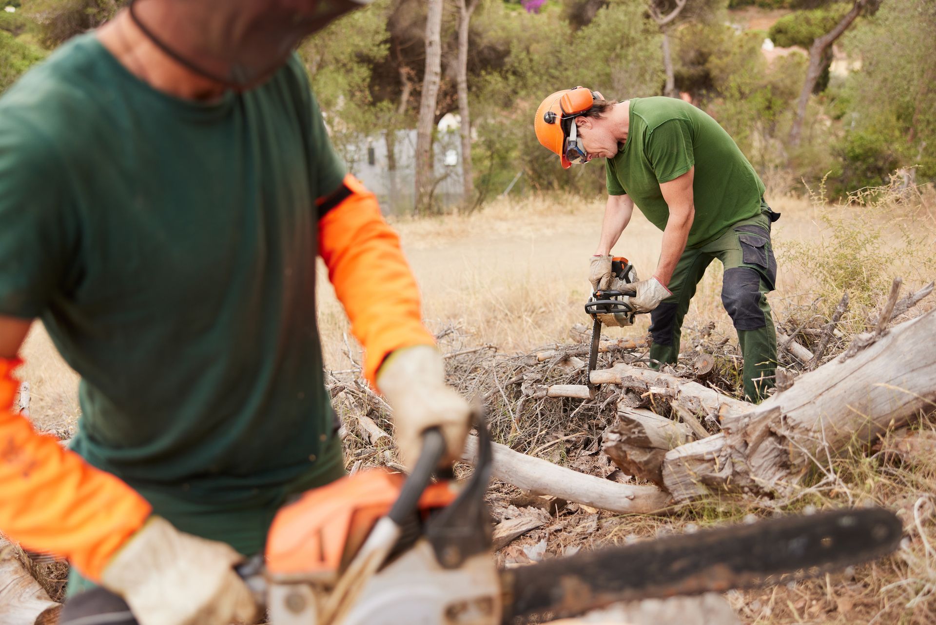 Two workers in green shirts use chainsaws to cut fallen branches in a wooded area. Two workers in green shirts use chainsaws to cut fallen branches in a wooded area.