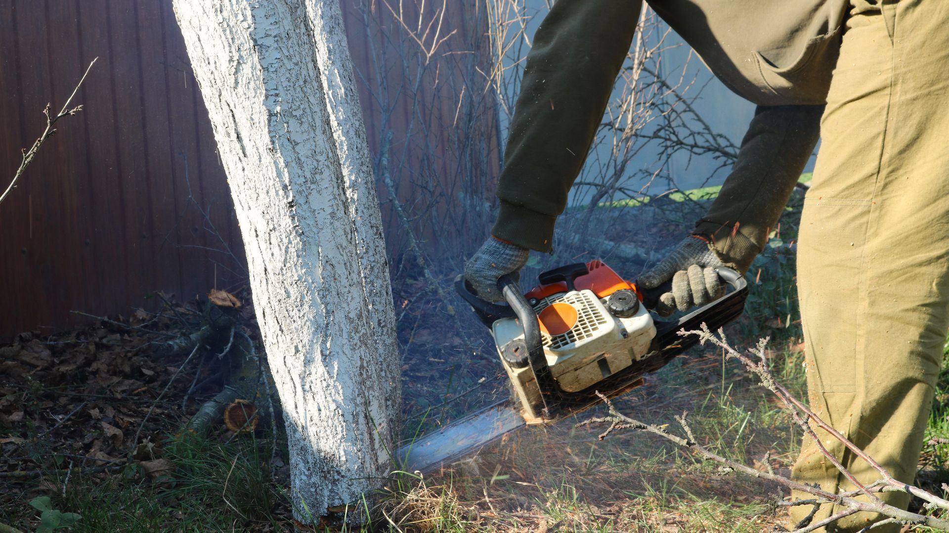 A person uses a chainsaw to cut down a tree with branches and leaves scattered on the ground. A person uses a chainsaw to cut down a tree with branches and leaves scattered on the ground.