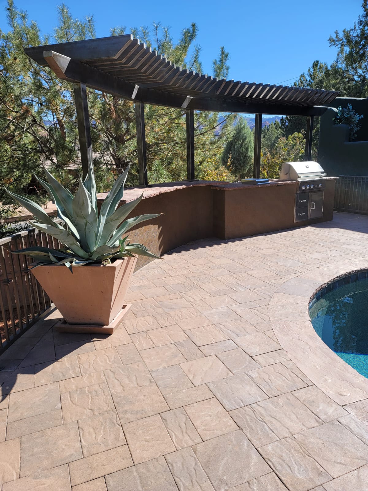 A potted plant sits on a patio next to a swimming pool