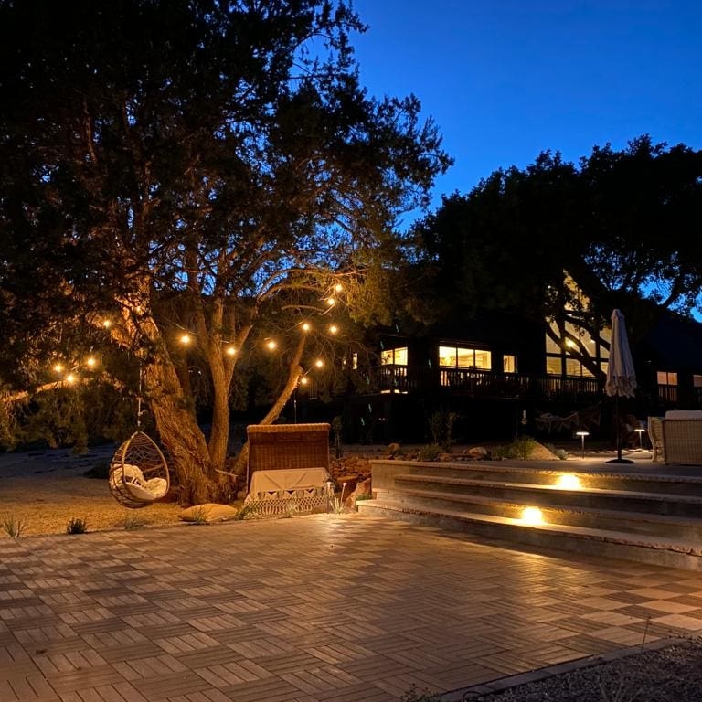 A tree with lights hanging from it is in front of a house at night.