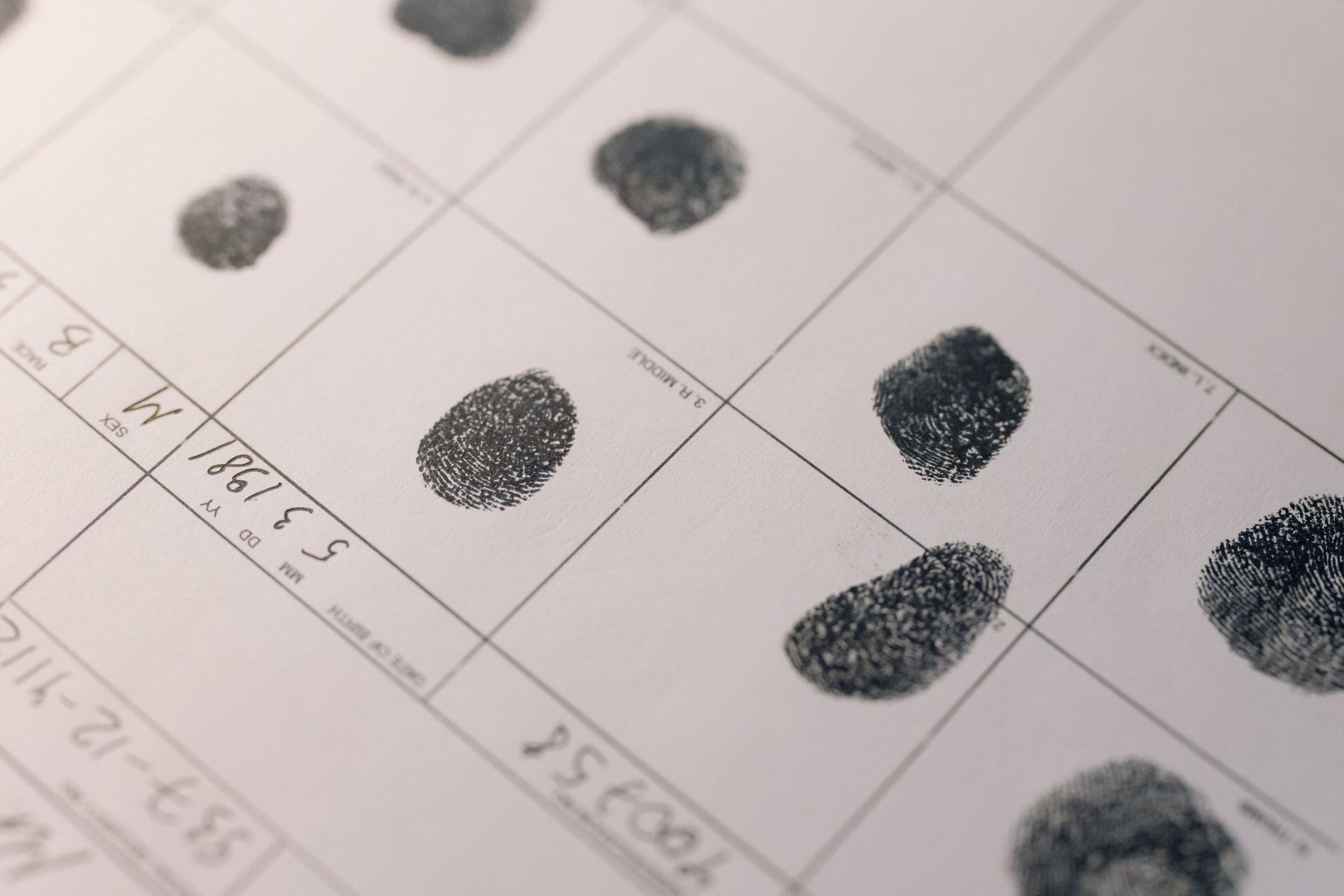 Ink fingerprint cards and supplies provided by Grey Hound Legal.