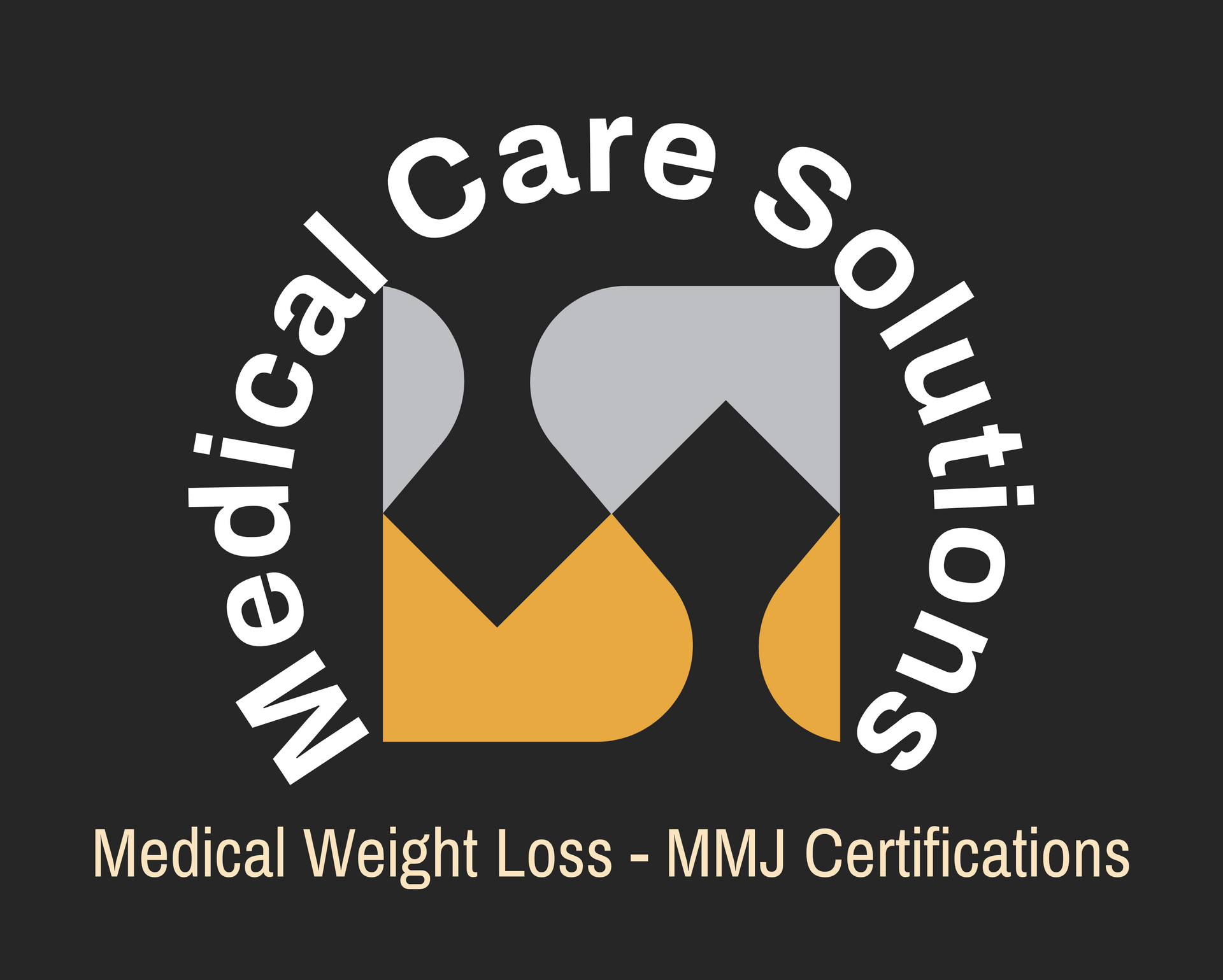 Medical Care Solutions Business Logo