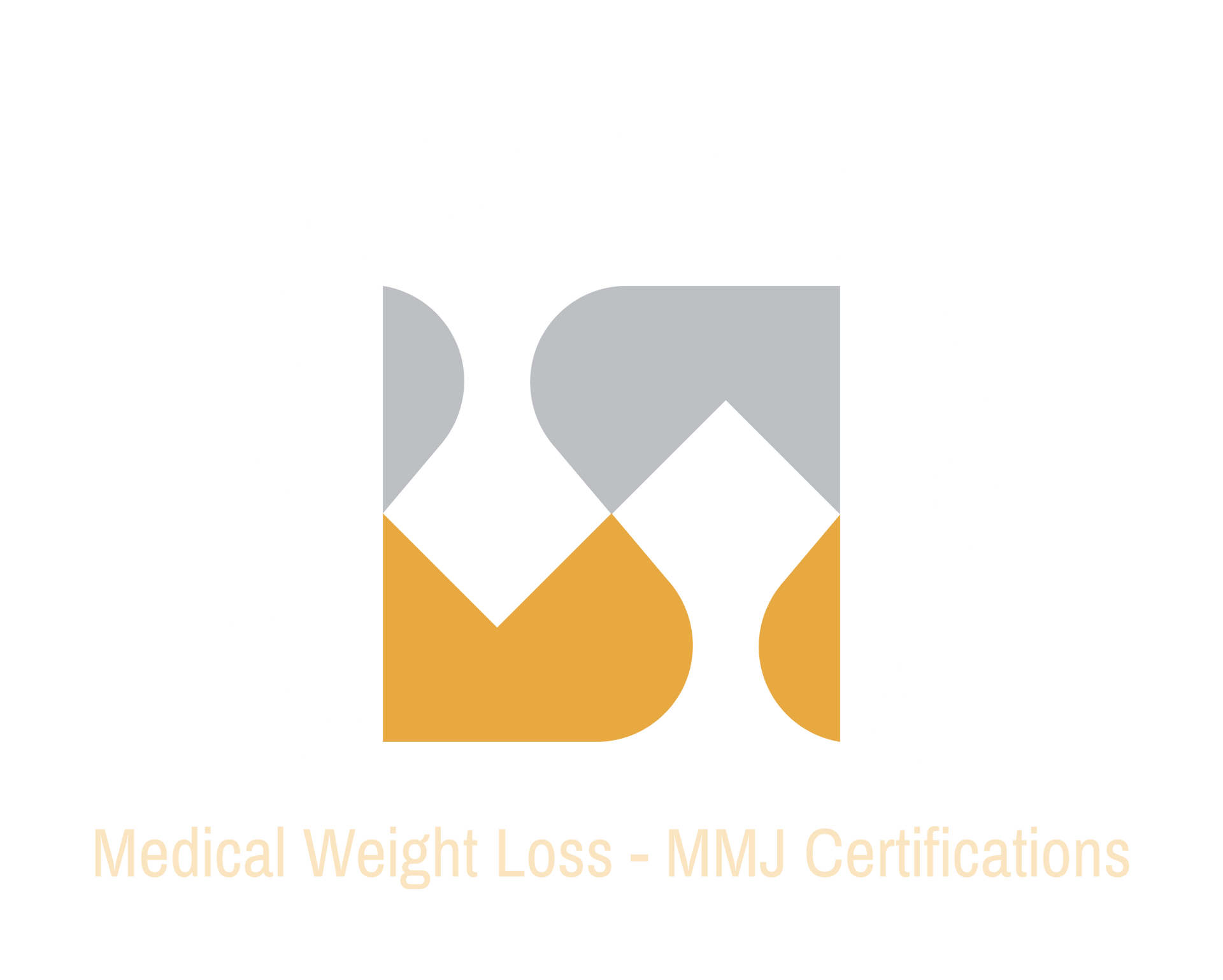 Medical Care Solutions Business Logo