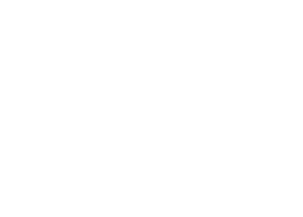 ANE Realty logo - click to go to home page