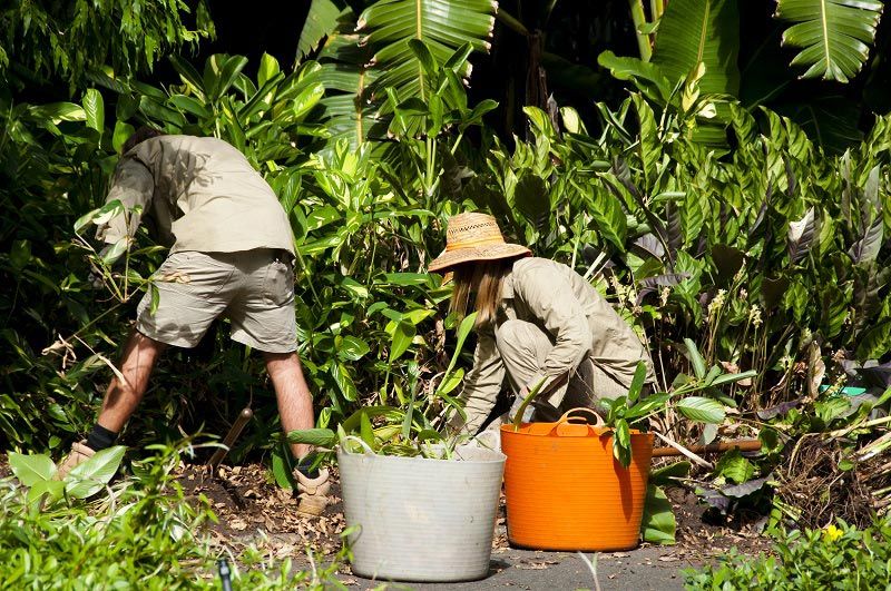 Advanced-Group-Gardening-commercial-landscaping