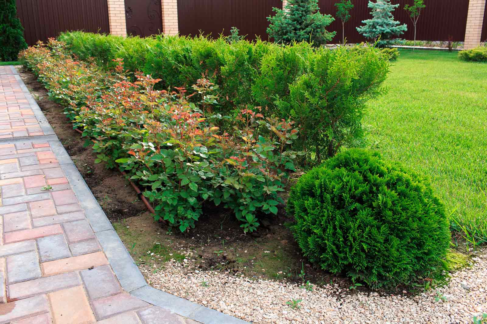Advanced-Group-landscaping and garden maintenance