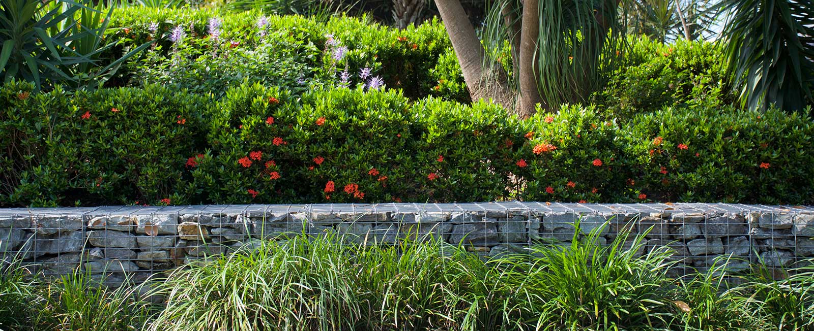 Advanced-Group-Streetscape-2-streetscapes-landscaping