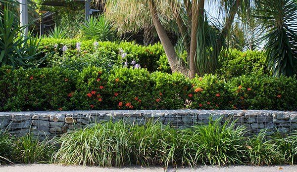 Advanced Landscaping streetscapes 1