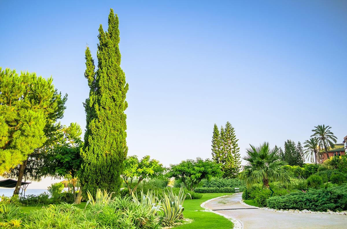 Advanced-Group-Streetscaping