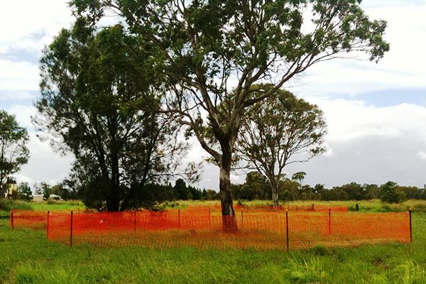 advanced group tree protection