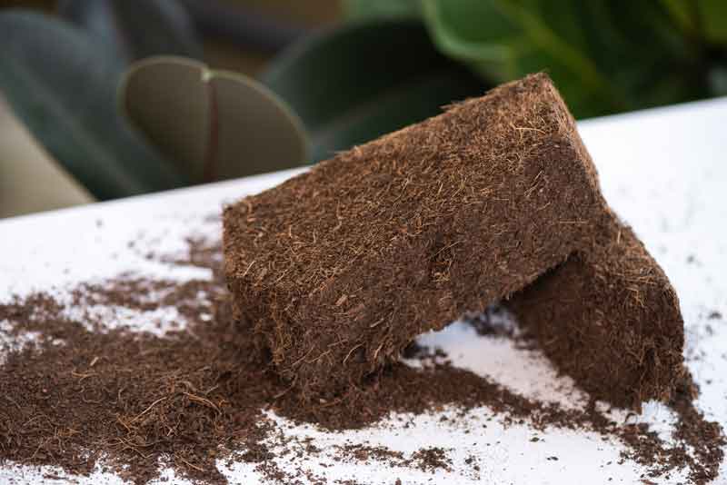 Coir logs laid on a white table