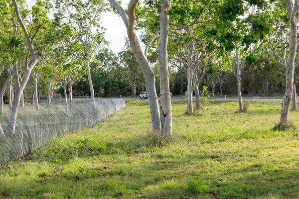 Temporary Koala fencing for roads and infrastructure sites