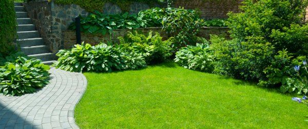 the-advanced-group-garden-maintenance